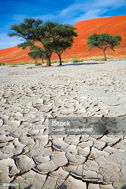 Rissige Boden Stockfoto und mehr Bilder von Abenddämmerung - Abenddämmerung, Afrika, Ausgedörrt