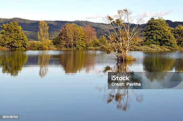 Mit Unterbrechungen Planina Lake Slowenien Stockfoto und mehr Bilder von Baum - Baum, Blau, Europa - Kontinent