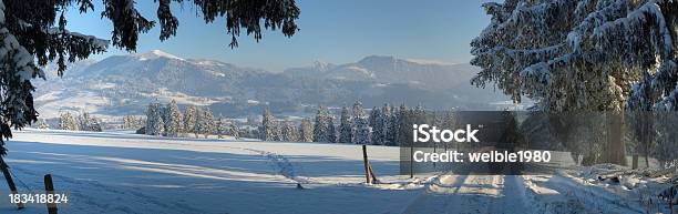 Sie Durch Die Bäumewinter Xxlpanorama Stockfoto und mehr Bilder von Berg - Berg, Fokus auf den Vordergrund, Städtische Straße