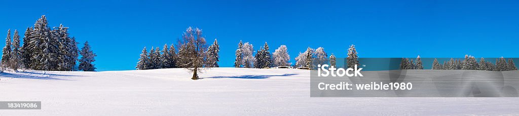 XXL Snowfield Panorama mit Bäumen - Lizenzfrei Allgäu Stock-Foto