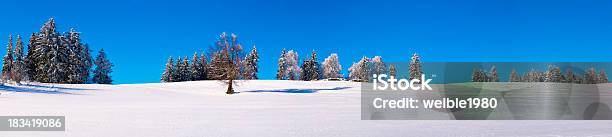 Xxl Snowfield Panorama Mit Bäumen Stockfoto und mehr Bilder von Allgäu - Allgäu, Anhöhe, Baum