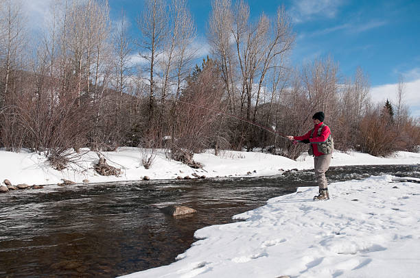 Senior Woman Fly-Fishing in Winter stock photo