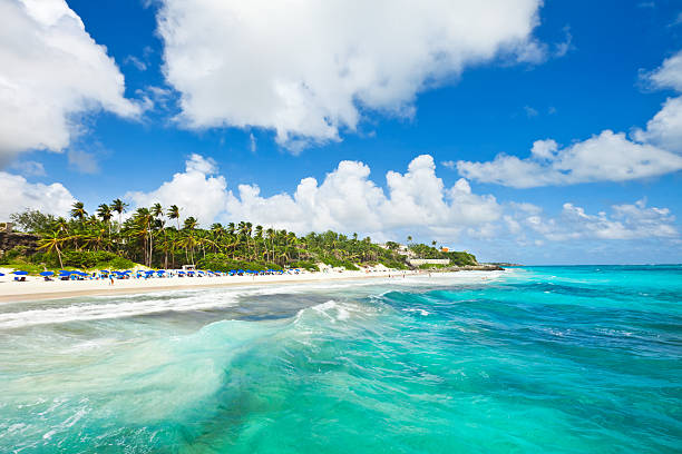 Guindaste praia, Barbados - fotografia de stock
