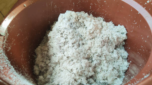 istock Close up of grated coconut in a basin 1834191956