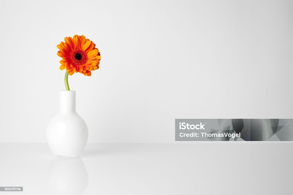 Gerbera 아이리스입니다 흰색 꽃병 - 로열티 프리 꽃병 스톡 사진