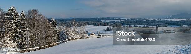 Holz In Der Nähe Der Schneebedeckten Feld Winter Xxlpanorama Stockfoto und mehr Bilder von Allgäu