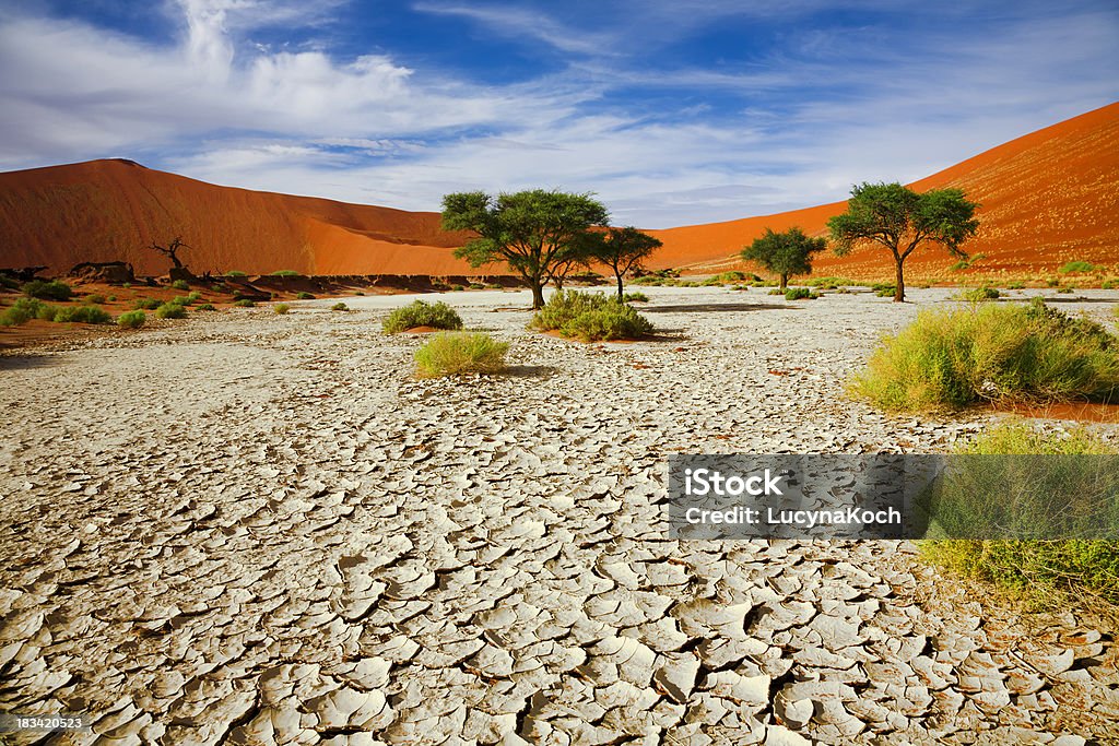 Rissige Boden - Lizenzfrei Namibia Stock-Foto