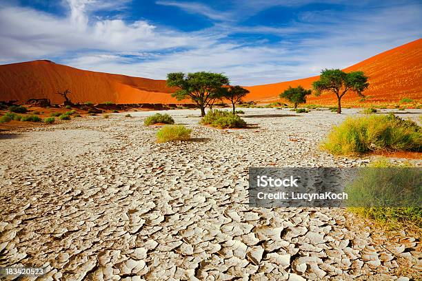 Rissige Boden Stockfoto und mehr Bilder von Namibia - Namibia, Landschaft, Landschaftspanorama