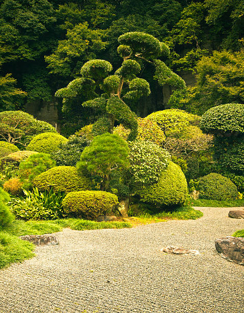 istock japanese garden detail 183421114