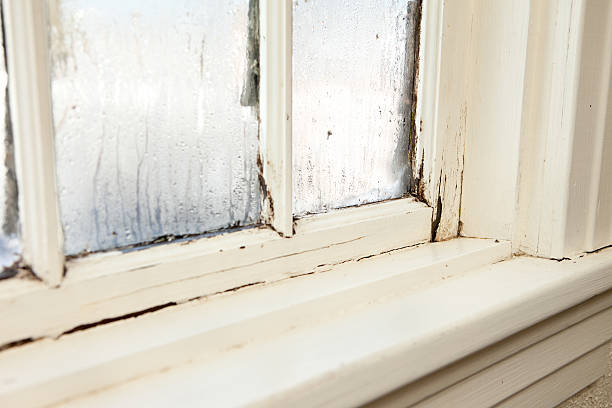 beschädigt, verfault fenster in alten hause - wood window stock-fotos und bilder