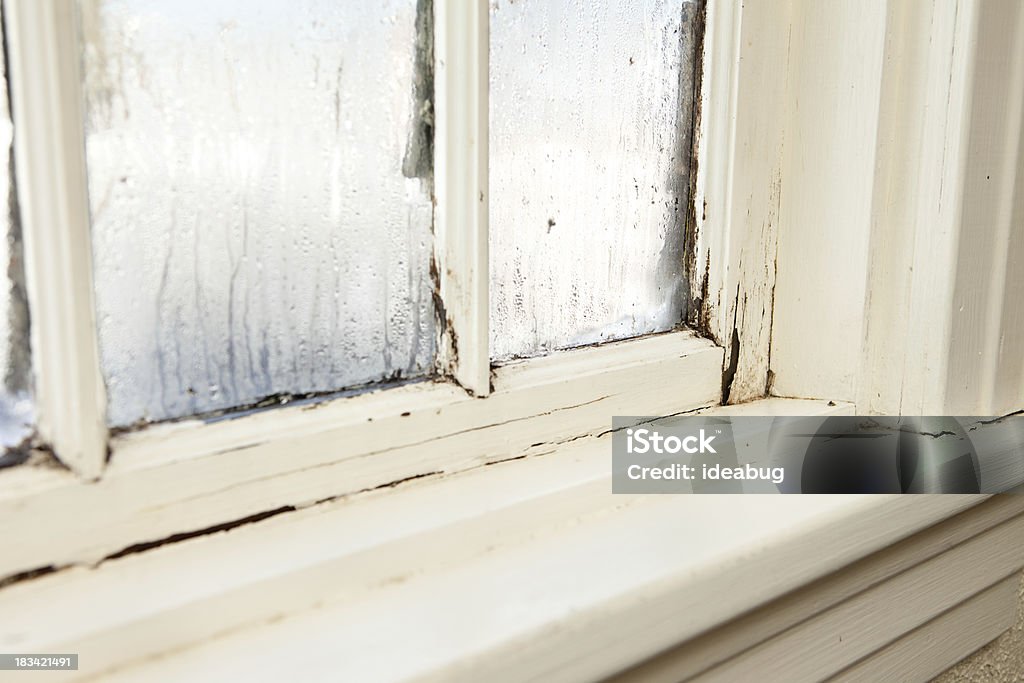 Damaged, Rotting Window Inside Older Home "Color image of an old window, in need of replacement, with rotting wood and peeling paint, inside an older home, during winter." Window Stock Photo
