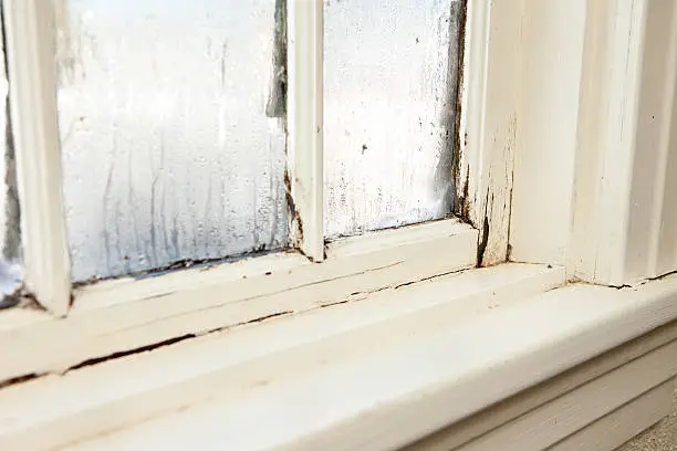 Photo of Damaged, Rotting Window Inside Older Home