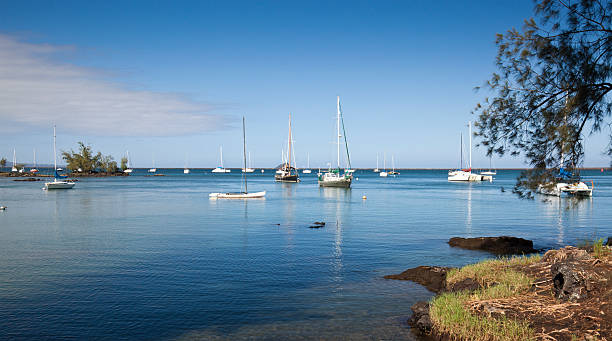 istock Sailing Ships in Reed's Bay Hilo Hawaii 183422145