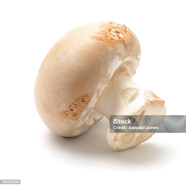 Kasztan Mushroom - zdjęcia stockowe i więcej obrazów Bez ludzi - Bez ludzi, Białe tło, Biały