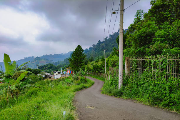 A road with beautiful natural panoramas