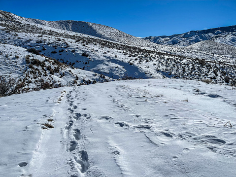High Desert Mountains- Blue Skies - Footprints in Snow - Washoe County, NV - January