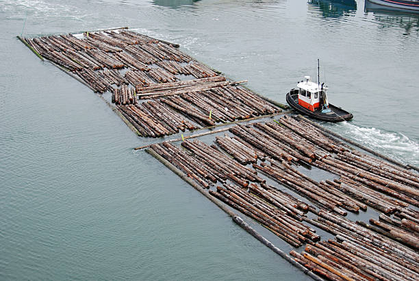 Tugboat and log rafts on river headed to mill