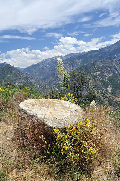 istock Kings Canyon National Park 183422958