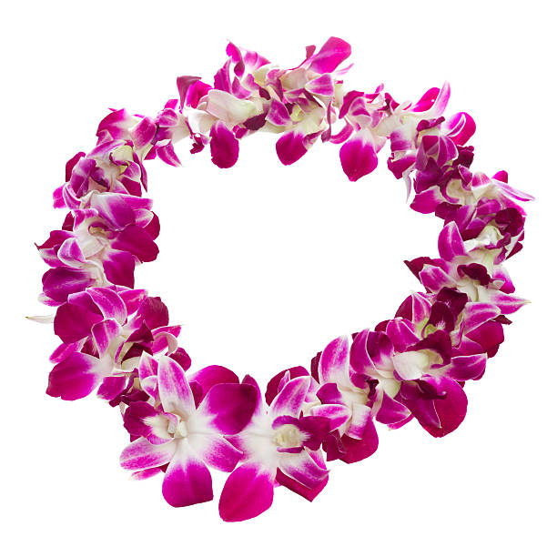 lei - hawaiian orchid fotografías e imágenes de stock