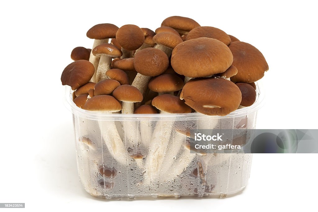 Des champignons frais en Plateau - Photo de Aliment libre de droits