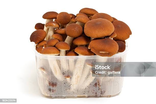 Photo libre de droit de Des Champignons Frais En Plateau banque d'images et plus d'images libres de droit de Aliment - Aliment, Aliment cru, Aliments et boissons