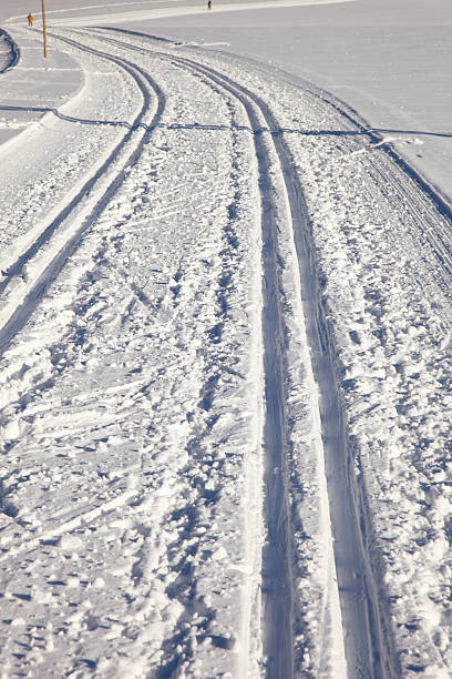 스키타기 - cross country skiing black forest germany winter 뉴스 사진 이미지