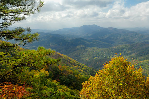 cherohala skyway em cores de outono - tim robbins imagens e fotografias de stock