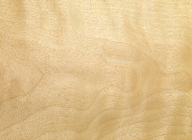 holz textur-birke geflammt - wood birch wood grain textured stock-fotos und bilder