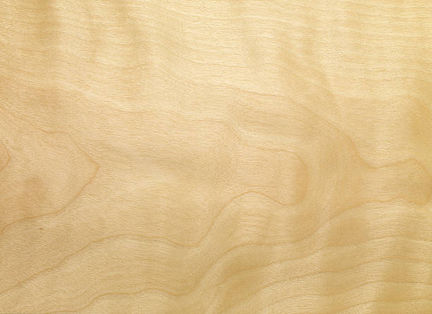 drewno tekstury-birch geflammt - wood birch wood grain textured zdjęcia i obrazy z banku zdjęć