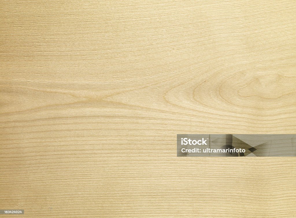 Drewno tekstury-brzozy - Zbiór zdjęć royalty-free (Brzoza)