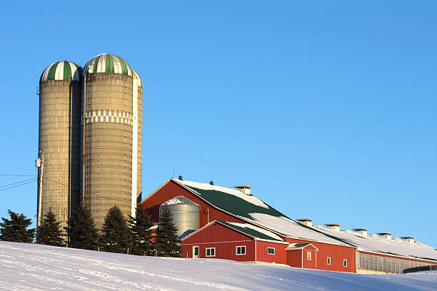 rosso farm barns in inverno - wellington ontario foto e immagini stock