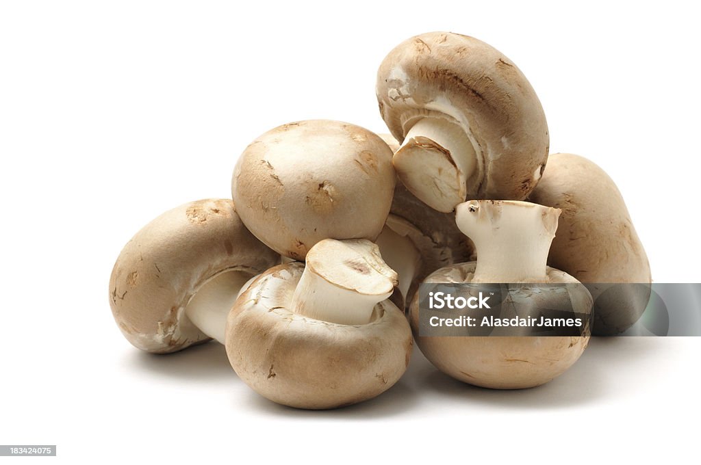 Каштан грибами - Стоковые фото Съедобный гриб роялти-фри