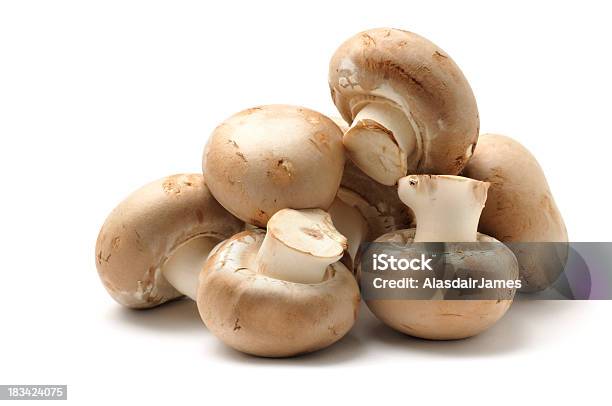Каштан Грибами — стоковые фотографии и другие картинки Съедобный гриб - Съедобный гриб, Изолированный предмет, Грибы