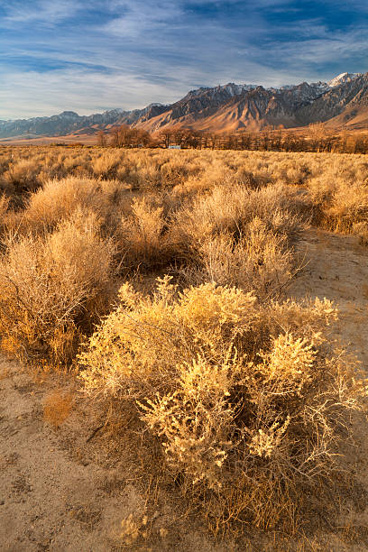 istock Sierra Nevada mountains California 183424178
