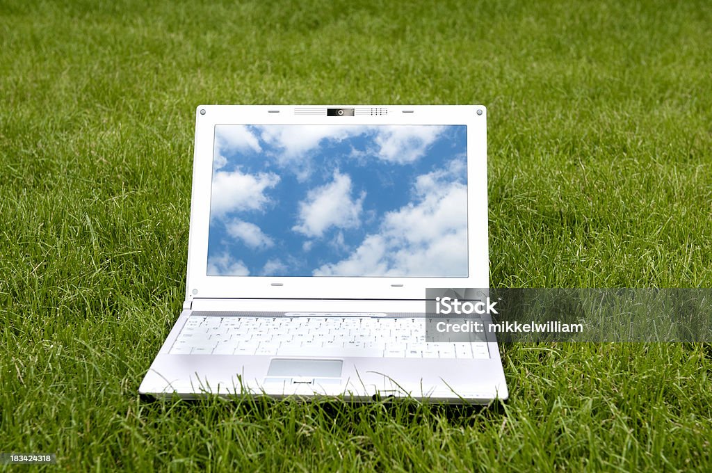 Cloud computing na laptopa na trawie - Zbiór zdjęć royalty-free (Komputer)
