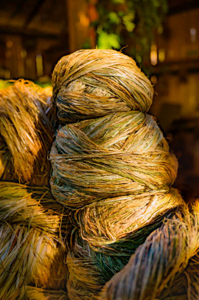 istock Fiber products from the hemp plant 1834246802