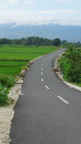 istock A paved roadway seamlessly cuts through expansive farmland 1834251963