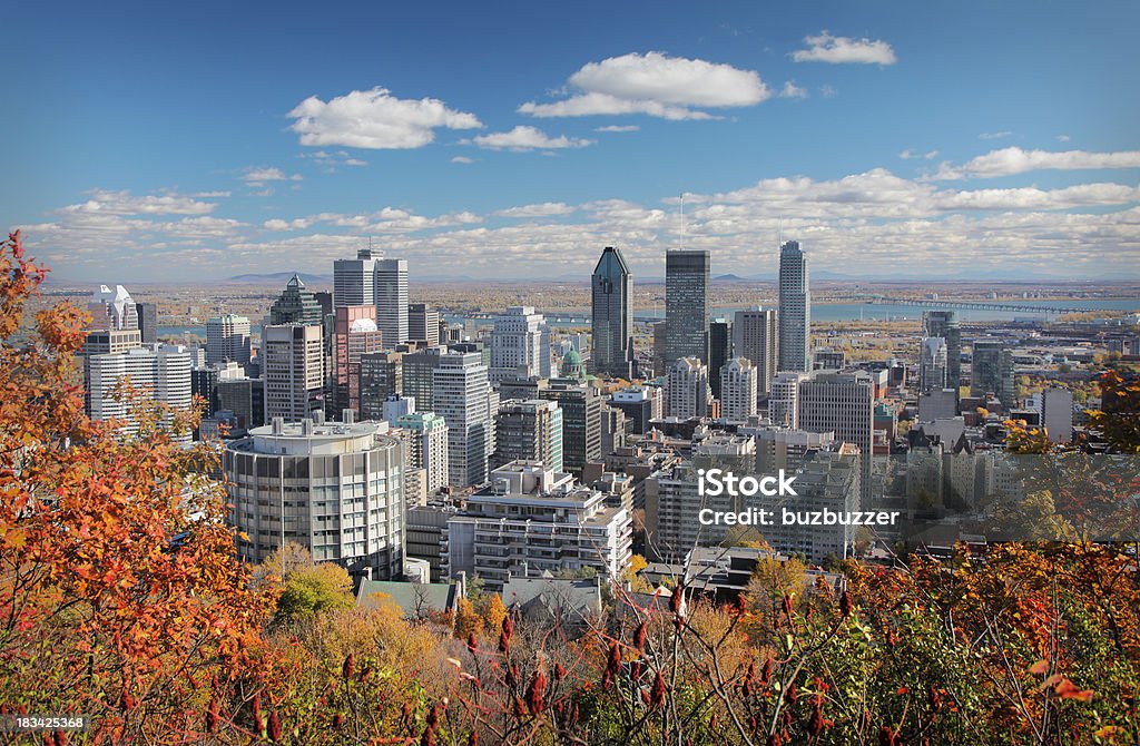 Herbst-Bäume mit skyline von Montreal im Hintergrund - Lizenzfrei Montréal Stock-Foto