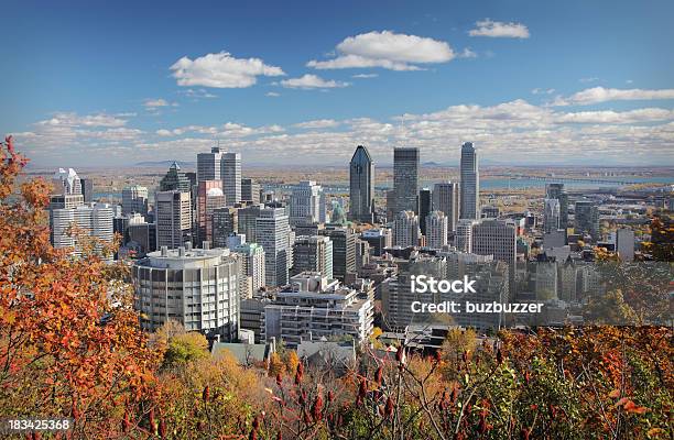 Herbstbäume Mit Skyline Von Montreal Im Hintergrund Stockfoto und mehr Bilder von Montréal