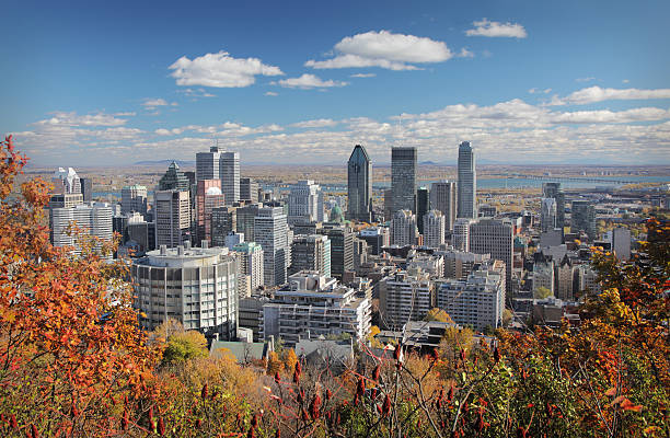 Fall trees with Montreal skyline in background  buzbuzzer montreal city stock pictures, royalty-free photos & images