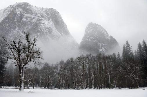 Yosemite Valley in Winter Fog