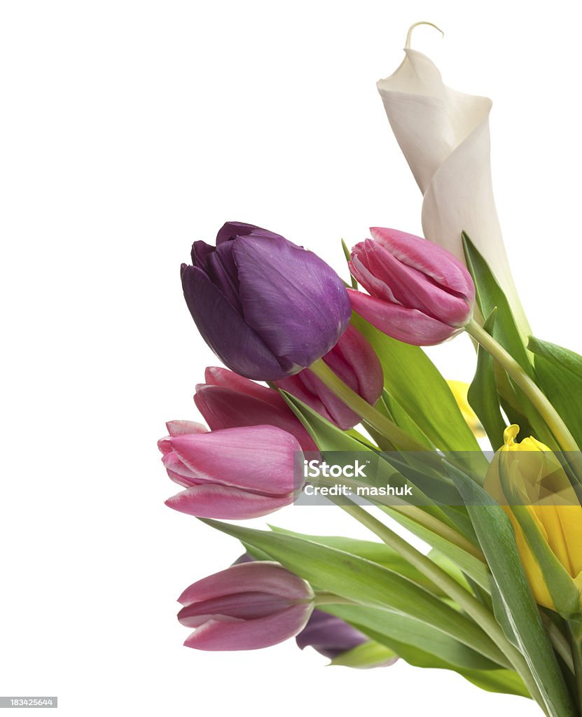 Tulipani - Foto stock royalty-free di Bellezza