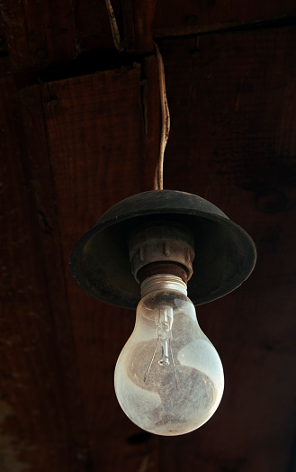 A modern chandelier hanging from the ceiling with gold leaf and a simple shape and a single lamp shines with warm light.