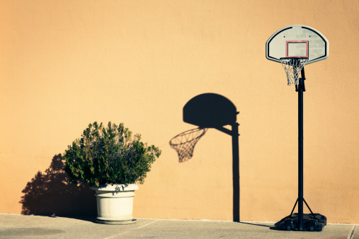 An outdoor basketball hoop on wheels and a potted plant (cypress) in a front yard of a residential building.
