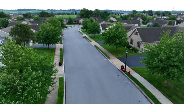 Suburban street lined with lush green trees and single family houses. Aerial establishing shot during windy summer day.