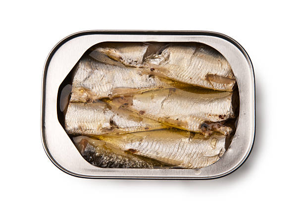 istock Can of Sardines 183426371