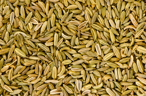Full frame macro of Fennel seeds.