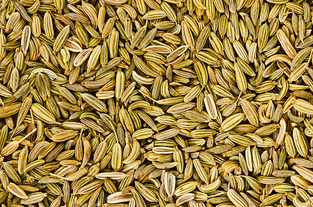 Fennel Full frame macro of Fennel seeds. fennel stock pictures, royalty-free photos & images