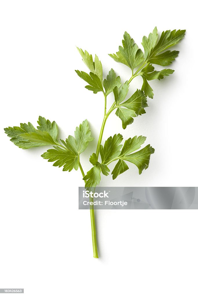 Herbes fraîches: Céleri - Photo de Persil libre de droits