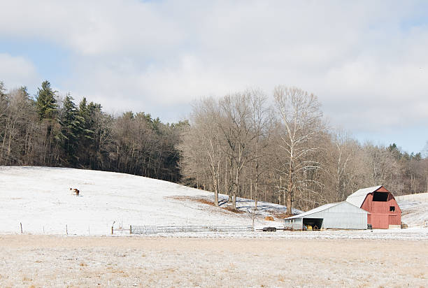 istock Little Farm in the Snow 183426689
